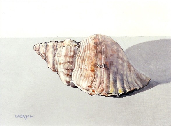Cargol del mar