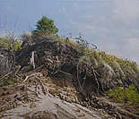 hyperrealism paintings by Brian LaSaga