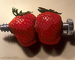 hyperrealism paintings by Bruce Evans