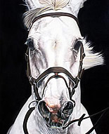 hyperrealism paintings by Liliana gauris