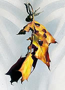 pintura realista de Laura Fantini 